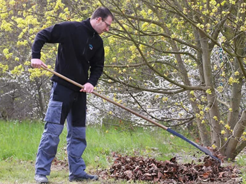 Grünpflege Berlin – Außenanlagenpflege in Berlin – Bild 2